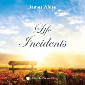 Life Incidents