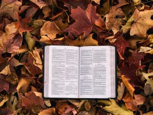 Signs of the Second Coming – 7 Biblical Clues of Christ’s Return