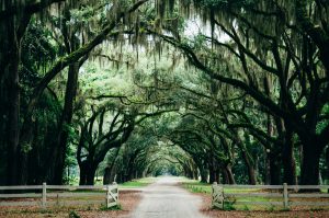 Coming to Jesus: Don’t Wait to Give Him Your Heart