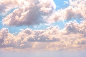 God’s Compassion: Embracing the Covenant of Peace