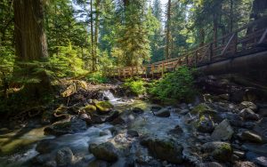 New Heaven and Earth: God’s Promise of Eternal Restoration