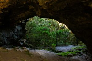 Bible Questions and Answers: Truths That Shape Our Destiny
