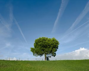 Christian Marriage: Lessons from Romans 7 on Love and Commitment