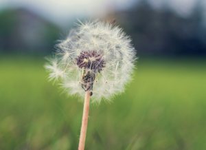 Faith During COVID: Trusting God in a Time of Crisis