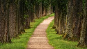 Five Solas: Core Principles That Sparked the Reformation