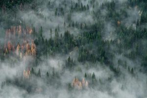 Laudato Si: Pope Francis’ Call to Care for Our Common Home