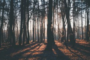 7 Last Words of Jesus: Final Statements from the Cross