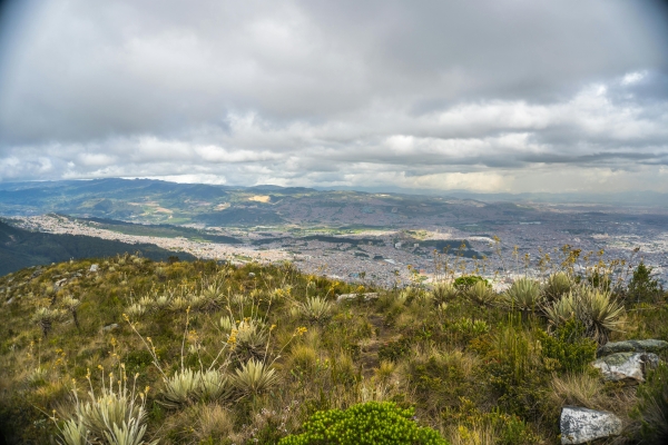 Living in Unprecedented Times: What COVID-19 Means for Prophecy