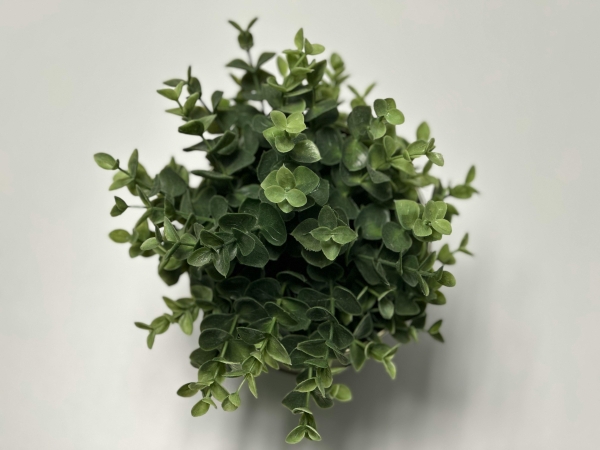 Sinai and Calvary: The Riven Rock of Law and Grace