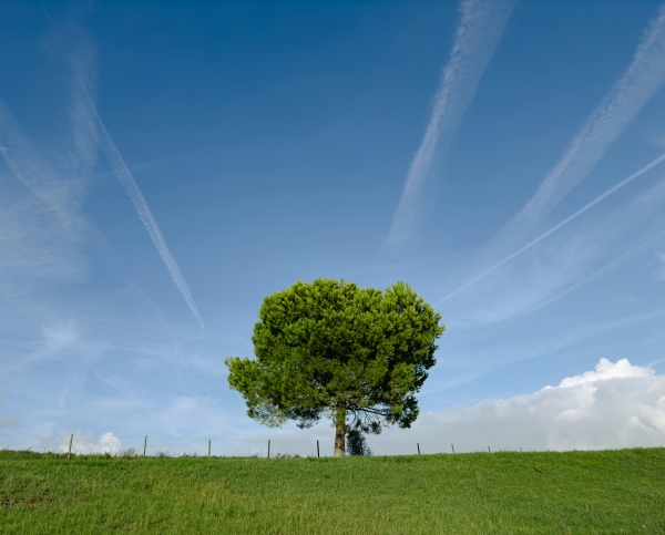 Signs of Jesus’ Return: What Biblical Prophecy Reveals