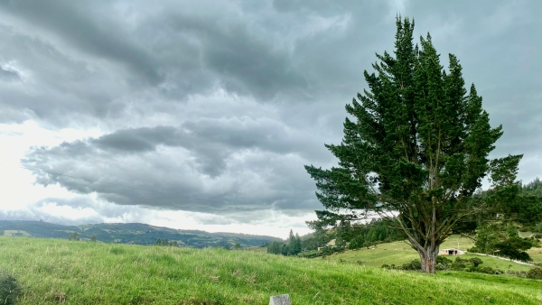 Everlasting Gospel: God’s Final Message of Hope to the World