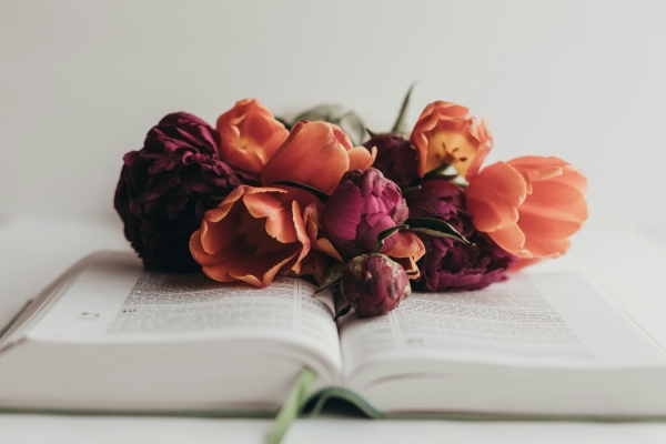 Patriotism and National Ruin: The Sabbath Test of End-Time Faith