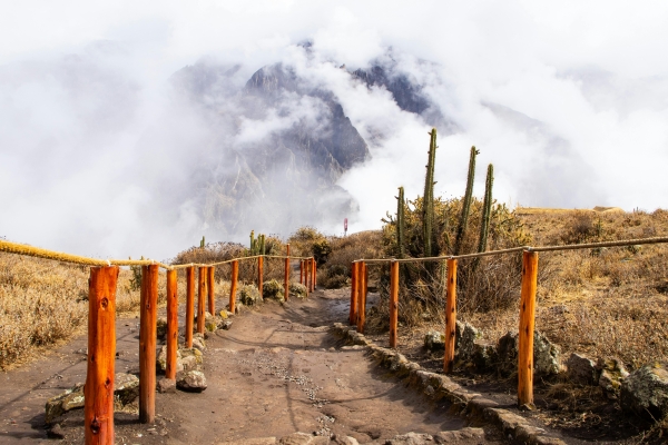 Biblical Basis for THE Seventh-Day Sabbath