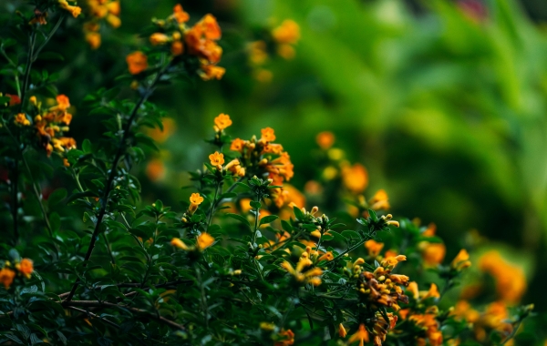 Noah’s Time And Ours