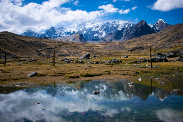 Those Who Watch Will Know