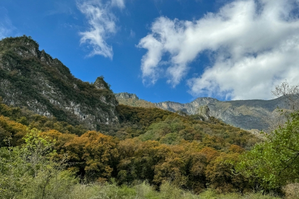 Real Hope In the Second Coming of Jesus Christ