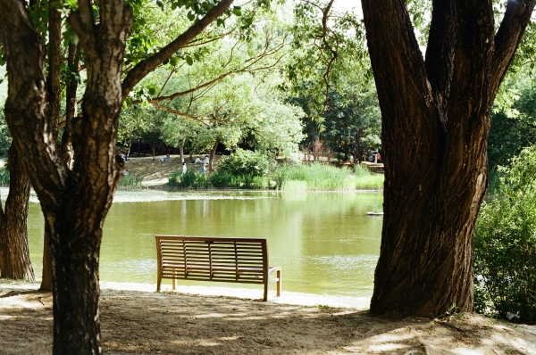 What Happens to Your Soul When You Die? Life After Death Explained