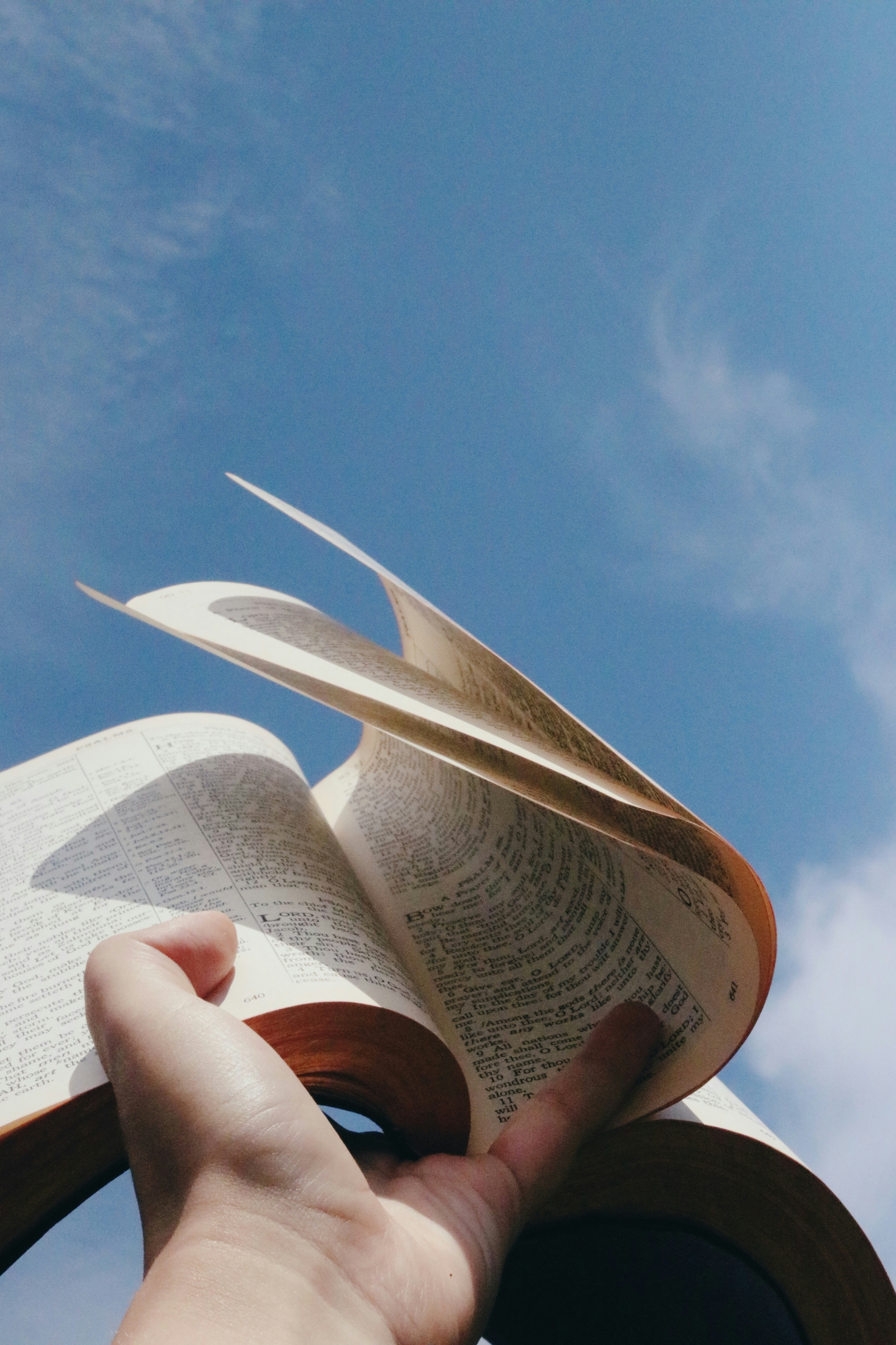 What does the Bible say about life after death?
