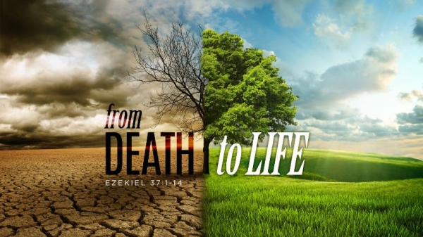 From Death to Life: God’s Loving Invitation to a Lost World