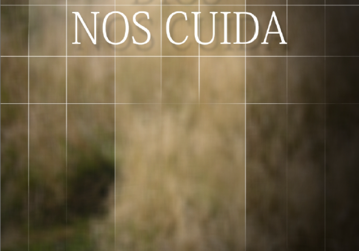 dios nos cuida