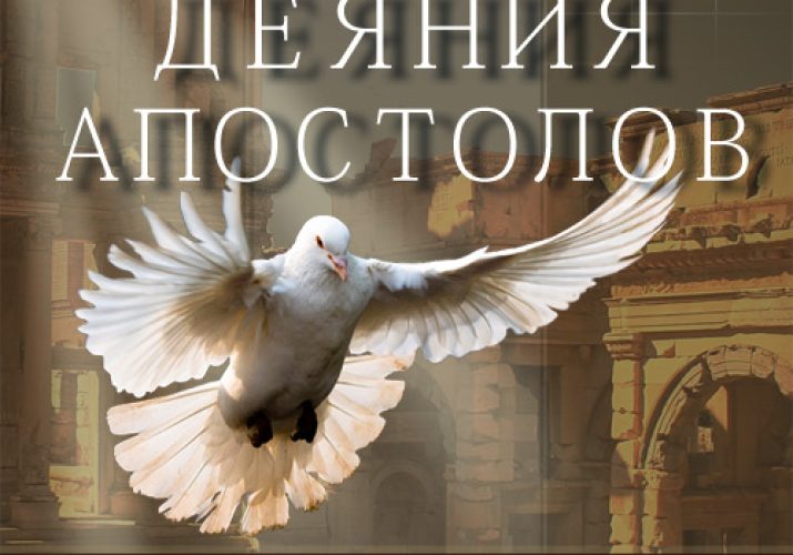 folder (13)