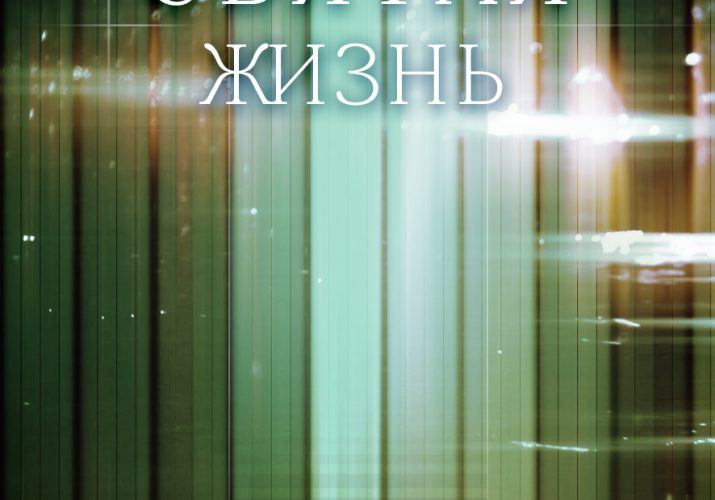 folder (19)